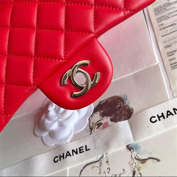 2026127205646709 380